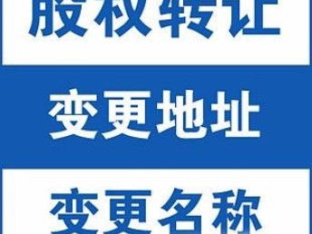 一站式无忧！沌口开发区代办营业执照，企达财税助力企业高效启航