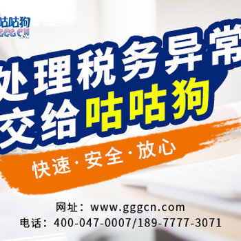 代理记账与税务代理服务 企业财务管理的得力助手